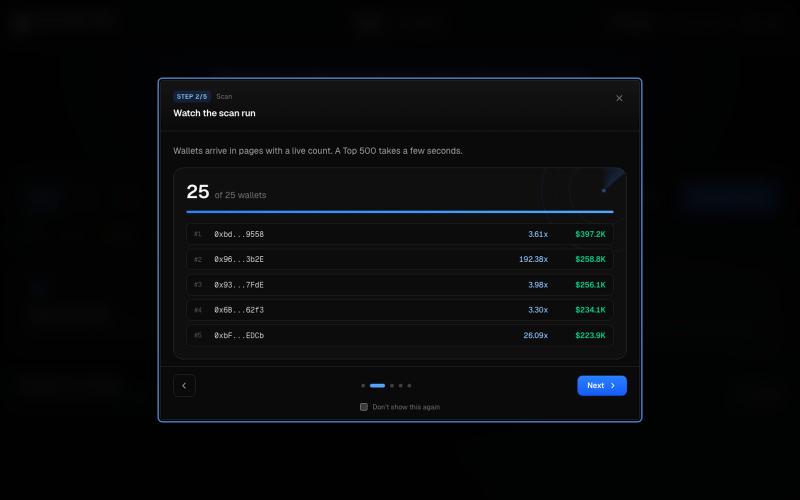 Alpha Wallet Finder: top memecoin traders by PNL — screenshot