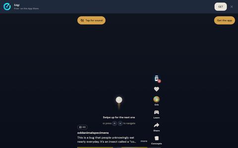 Edgi — screenshot
