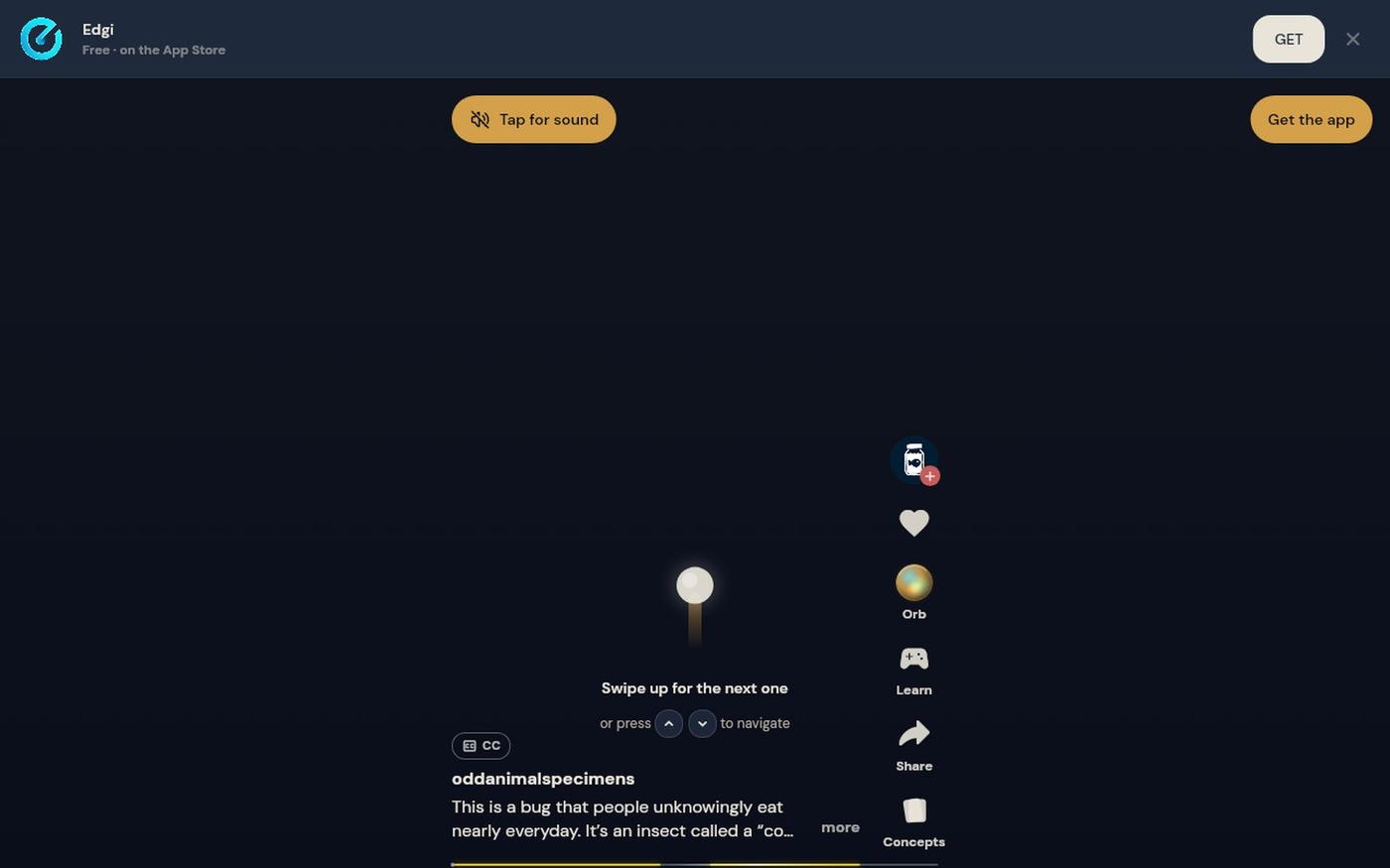 Edgi — screenshot