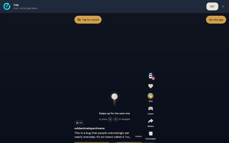Edgi — screenshot