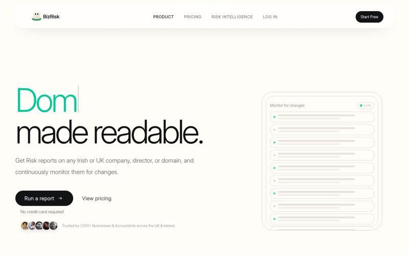 BizRisk AI Analyst | Company Risk Reports for UK & Ireland — screenshot