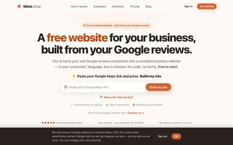 Free Business Website From Your Google Reviews | blasa — screenshot