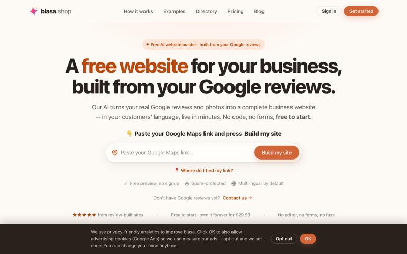 Free Business Website From Your Google Reviews | blasa — screenshot