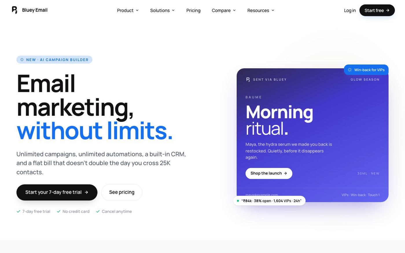 Bluey Email — Email marketing that doesn't punish you for growing — screenshot