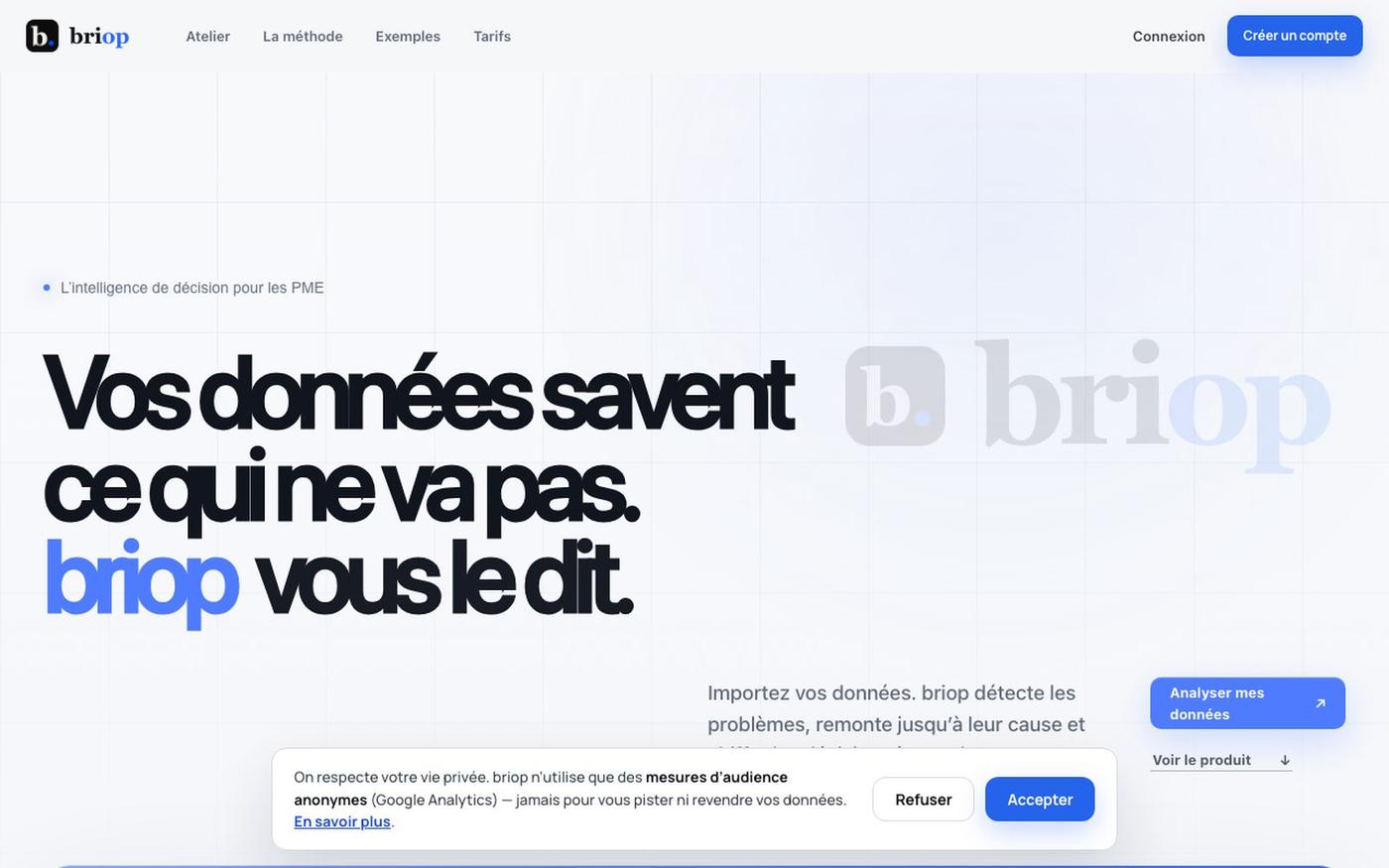 Briop — L'analyste IA des PME — screenshot