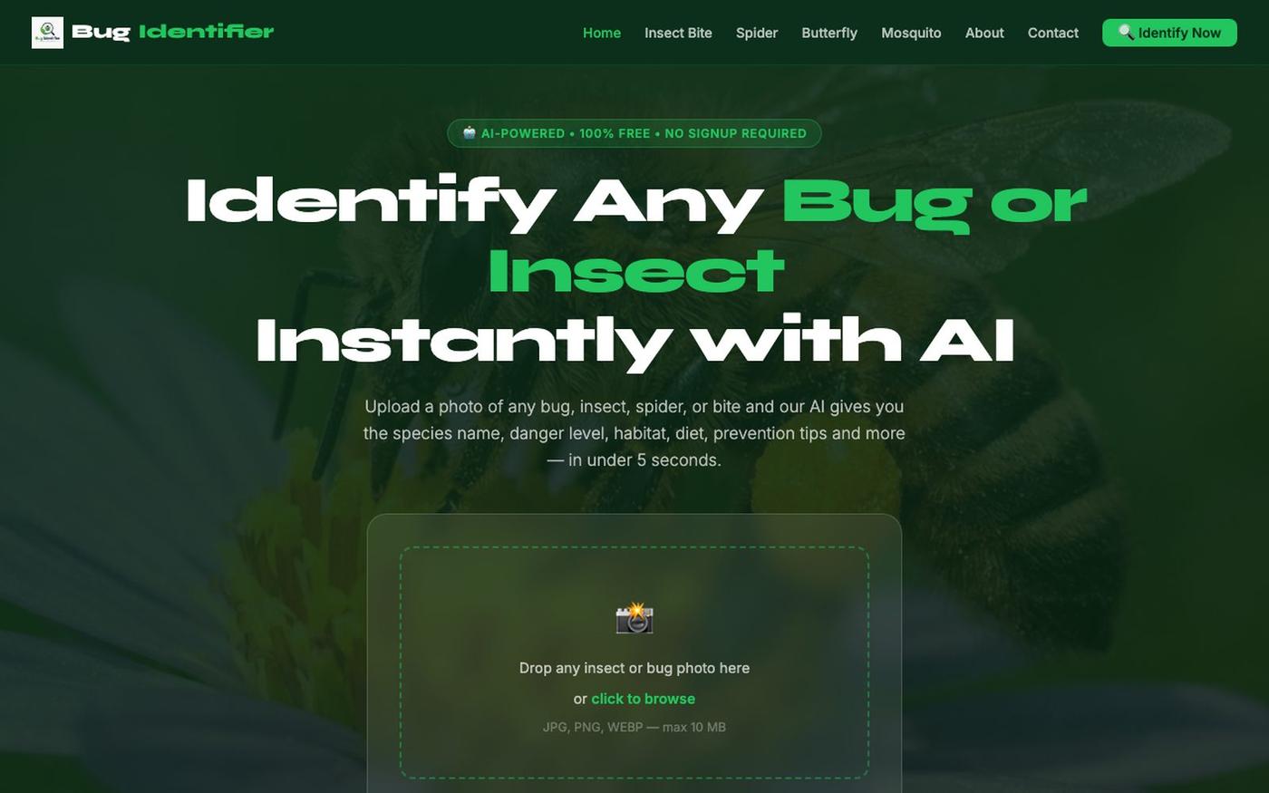 Bug Identifier – Identify Insects and Bugs by Picture Online — screenshot
