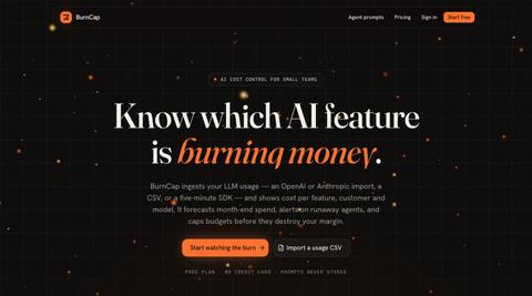 BurnCap - Stop AI costs before they surprise you — screenshot