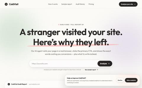 ColdVisit - AI Website Audit & Conversion Report — screenshot