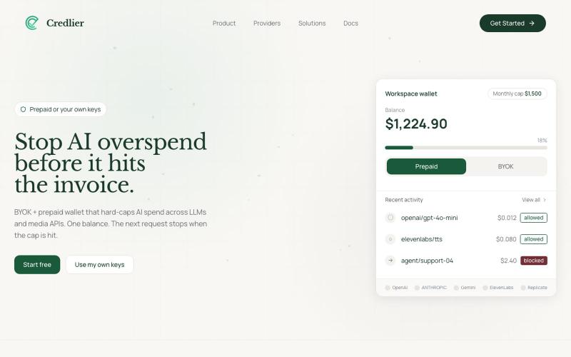 Credlier | The Financial Operating System for AI — screenshot