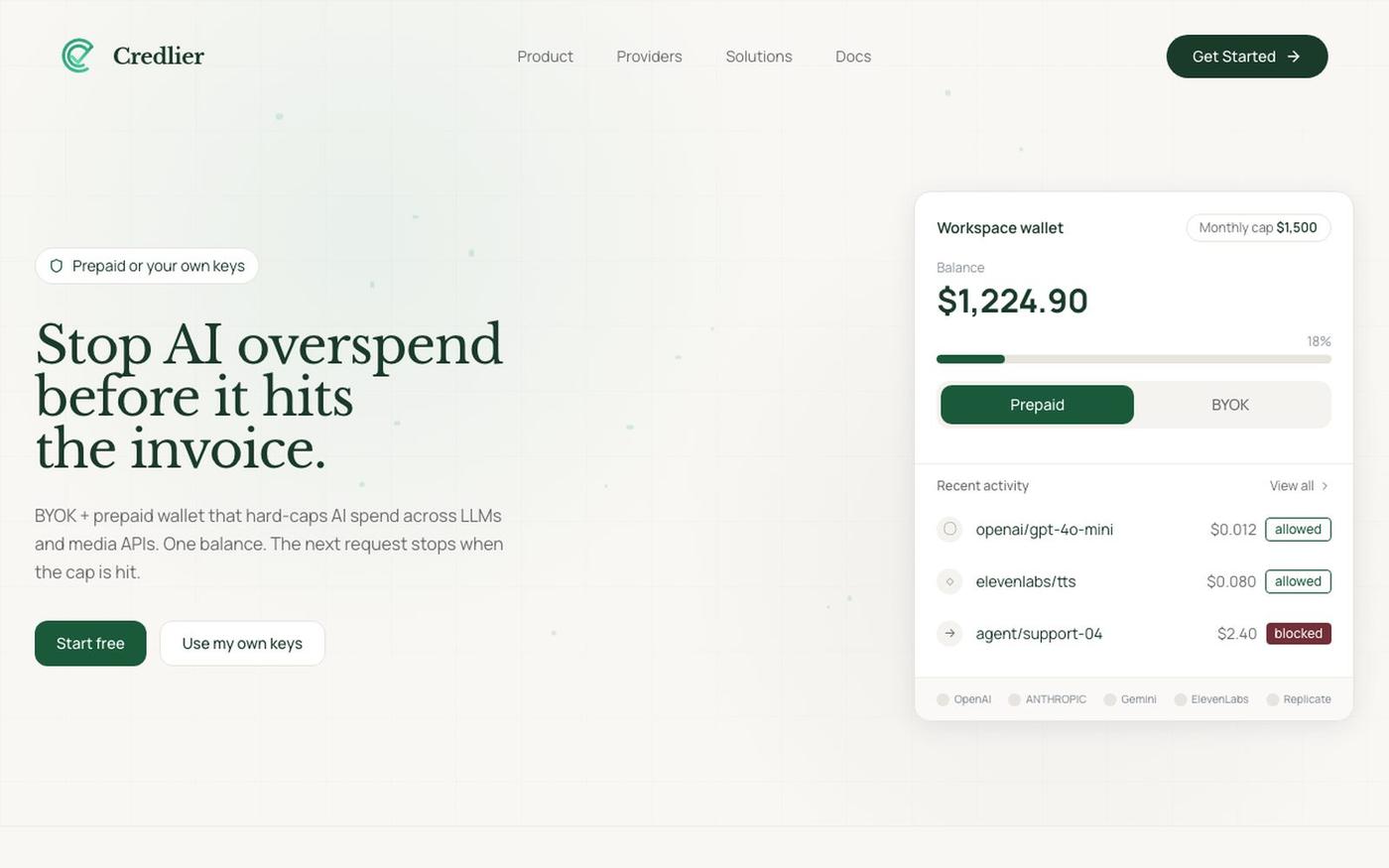 Credlier | The Financial Operating System for AI — screenshot