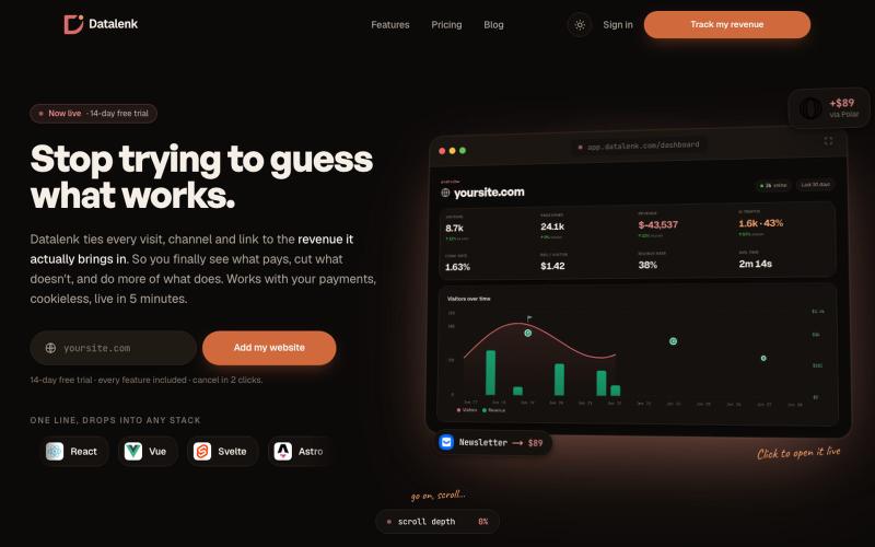 Datalenk · Revenue-first web analytics — screenshot