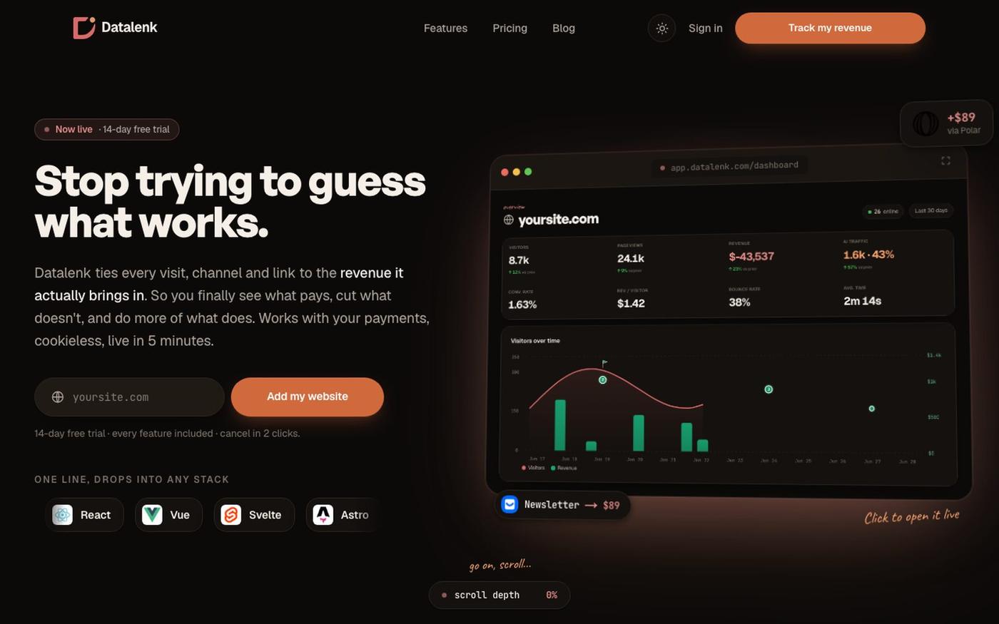 Datalenk · Revenue-first web analytics — screenshot