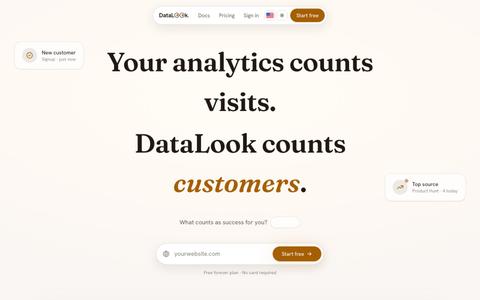 DataLook: Count customers, not clicks. — screenshot