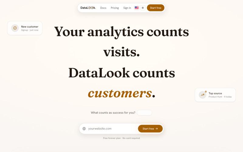 DataLook: Count customers, not clicks. — screenshot