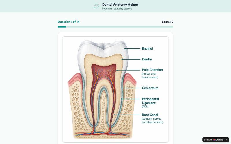 Dental Anatomy Helper by Athina — screenshot