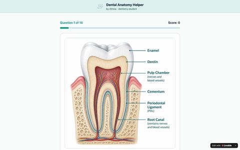 Dental Anatomy Helper by Athina — screenshot