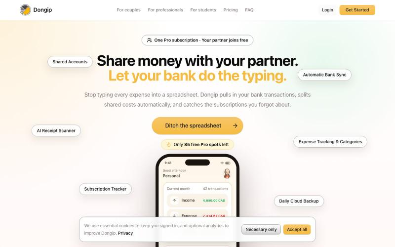 Shared Accounts, Auto Bank Sync, and Expense Tracking | Dongip — screenshot
