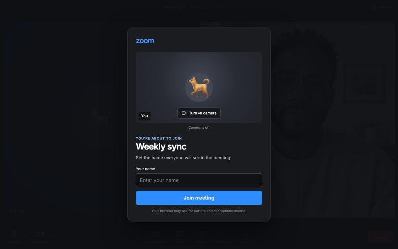 Fake Zoom — screenshot