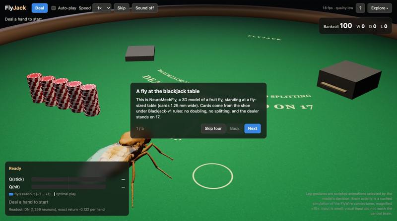 FlyJack — screenshot