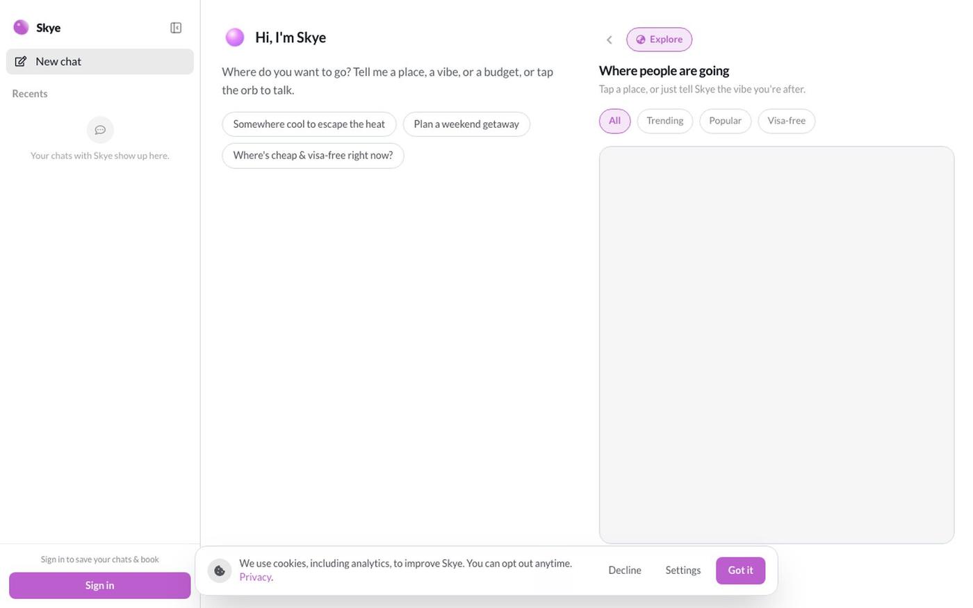 Talk to Skye | Skye — screenshot