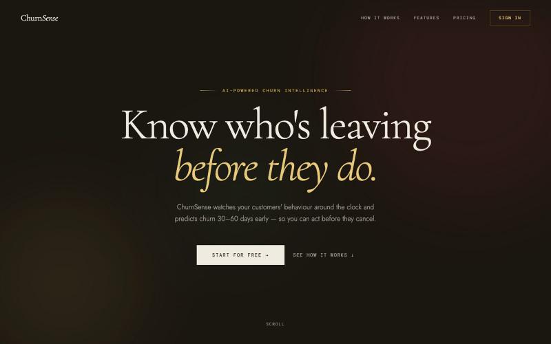 ChurnSense — Know Who's Leaving Before They Do — screenshot