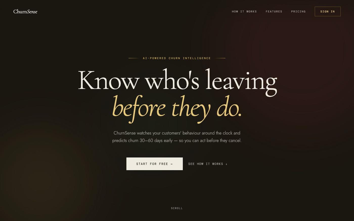 ChurnSense — Know Who's Leaving Before They Do — screenshot