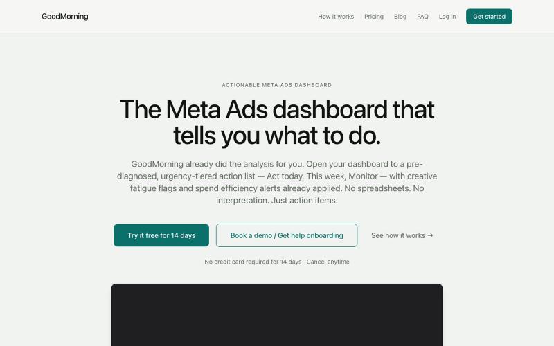 Meta Ads reporting software — action items, not analysis — screenshot