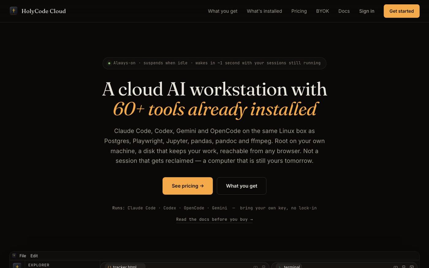 HolyCode Cloud — a cloud AI workstation with 60+ tools already installed — screenshot