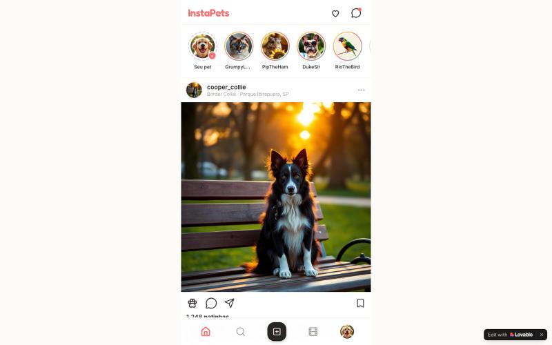 InstaPets — a rede social dos pets — screenshot