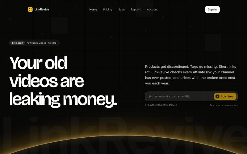 LinkRevive — Dead affiliate link audit for YouTube — screenshot