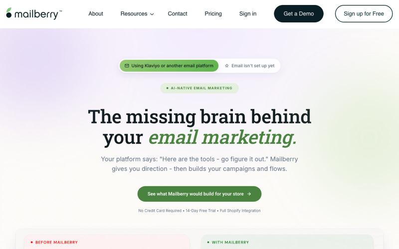 Mailberry: The AI Email Marketing Platform That Thinks, Learns & Creates for You — screenshot