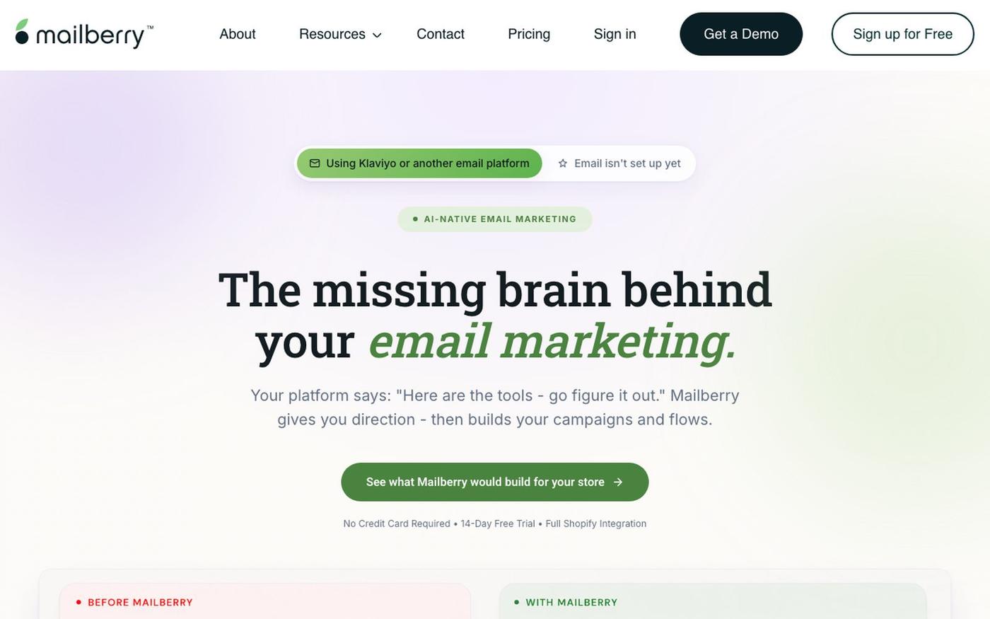 Mailberry: The AI Email Marketing Platform That Thinks, Learns & Creates for You — screenshot