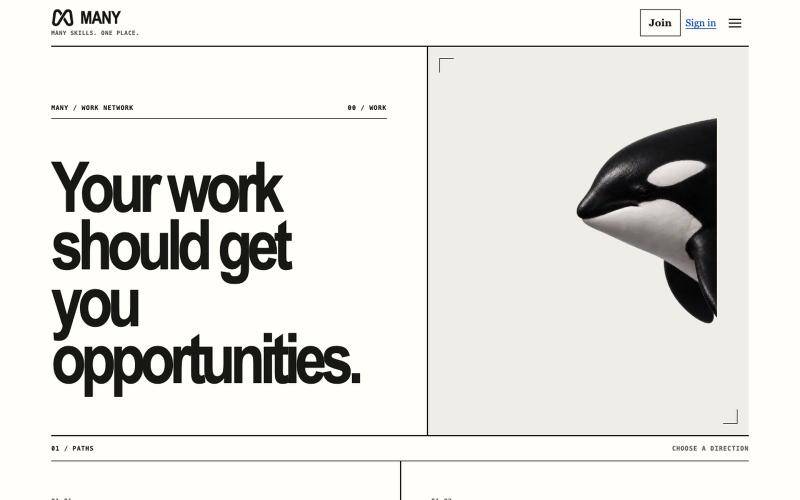 Many — Skills, portfolios, and proof of work — screenshot