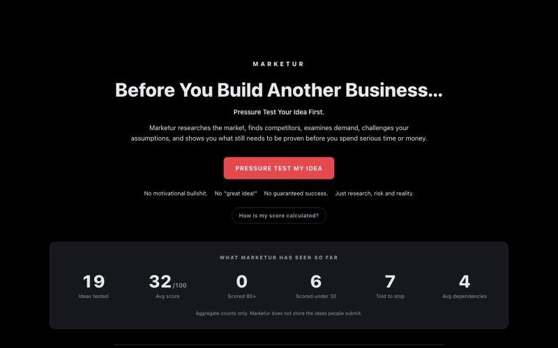 Marketur | Free Business Idea Reality Check — screenshot
