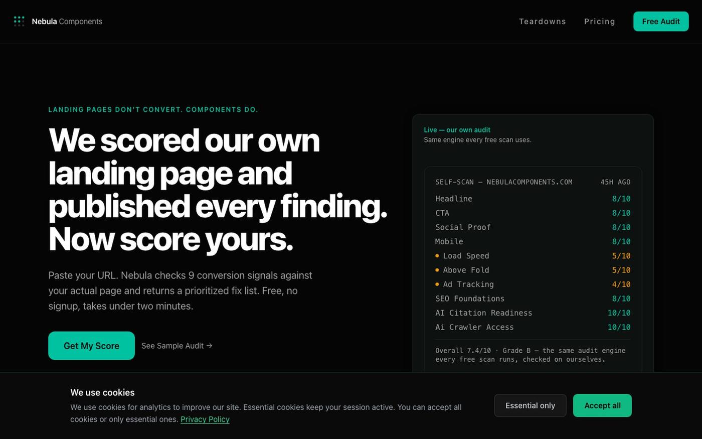 Landing Page Audit for Paid Traffic Not Converting | Nebula — screenshot