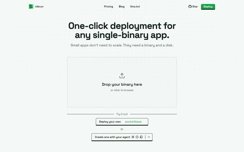nibrun — one-click deployment for any single-binary app — screenshot