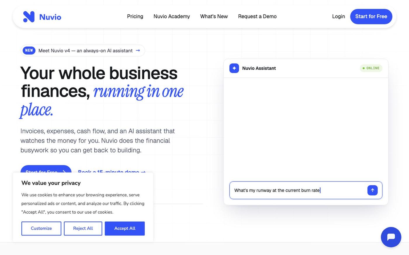 Nuvio — Your whole business finances, running in one place — screenshot