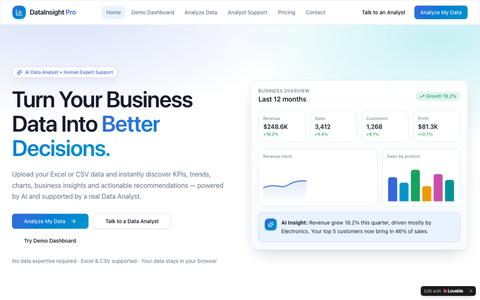 DataInsight Pro — Turn Your Business Data Into Better Decisions — screenshot
