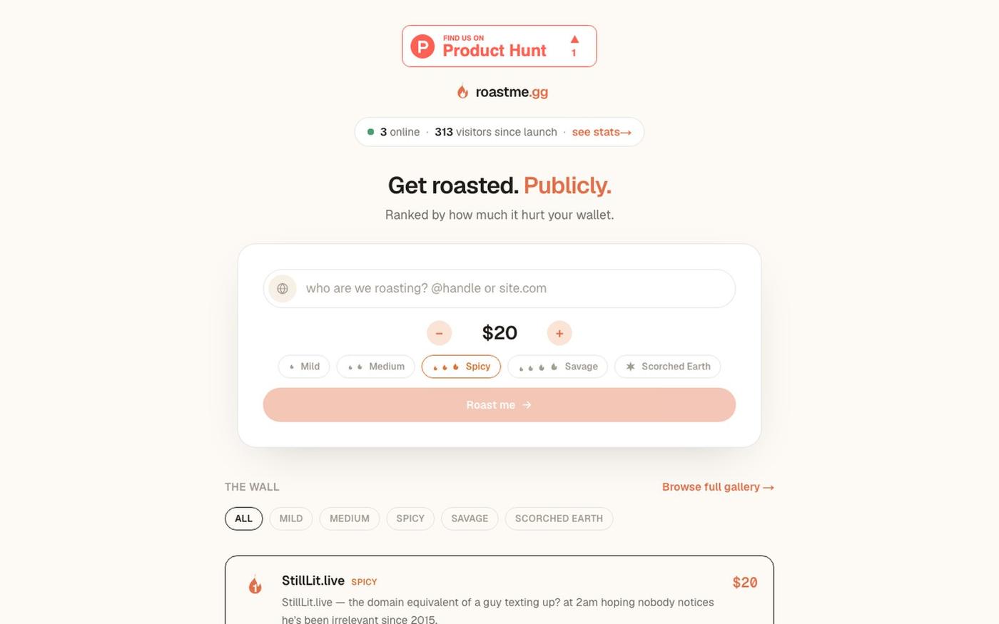 Pay to Get Publicly Roasted by AI : roastme.gg — screenshot