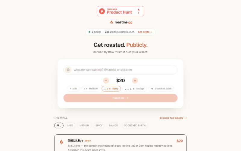 Pay to Get Publicly Roasted by AI : roastme.gg — screenshot