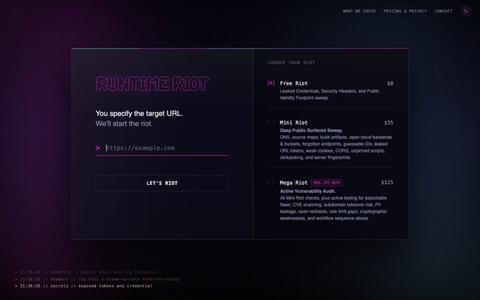 Runtime Riot - Automated Runtime Security Scanning — screenshot