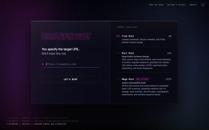 Runtime Riot - Automated Runtime Security Scanning — screenshot