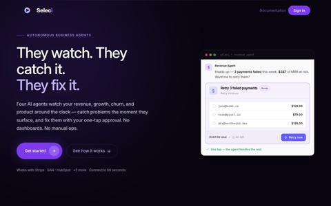 Seleci — AI Business Intelligence Agents | No Dashboards — screenshot