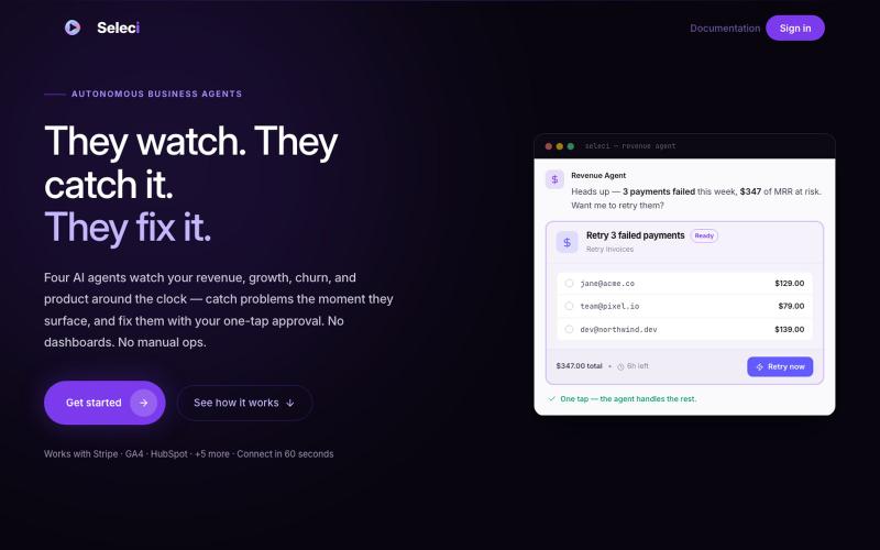 Seleci — AI Business Intelligence Agents | No Dashboards — screenshot