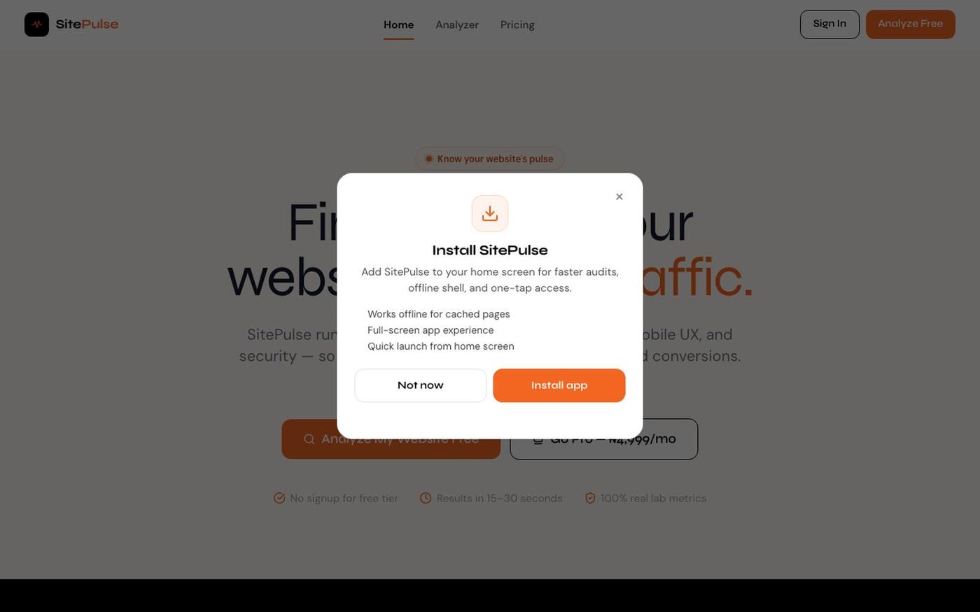 SitePulse — Free Website Audit Tool | Performance, SEO & Core Web Vitals — screenshot