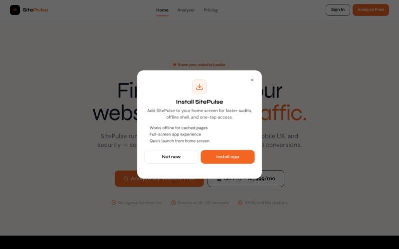 SitePulse — Free Website Audit Tool | Performance, SEO & Core Web Vitals — screenshot