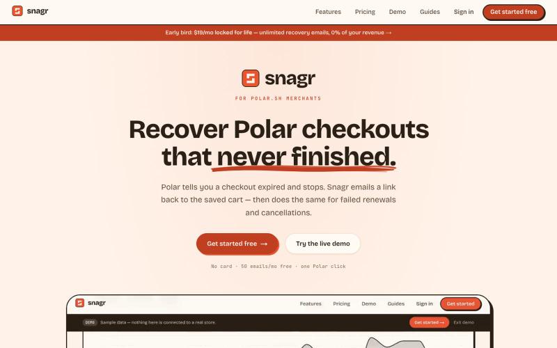 Snagr - Abandoned checkout recovery for Polar.sh — screenshot