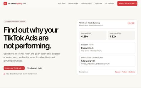 TikTokAdsAgency.com — TikTok Ads Intelligence Platform — screenshot