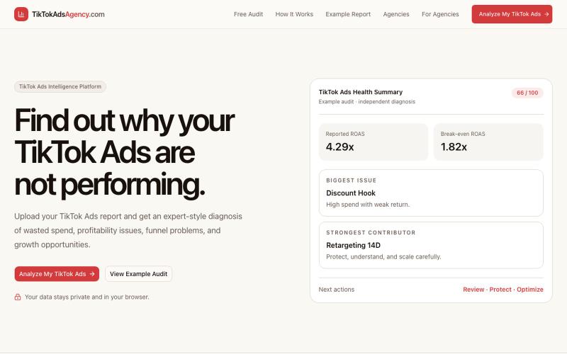 TikTokAdsAgency.com — TikTok Ads Intelligence Platform — screenshot