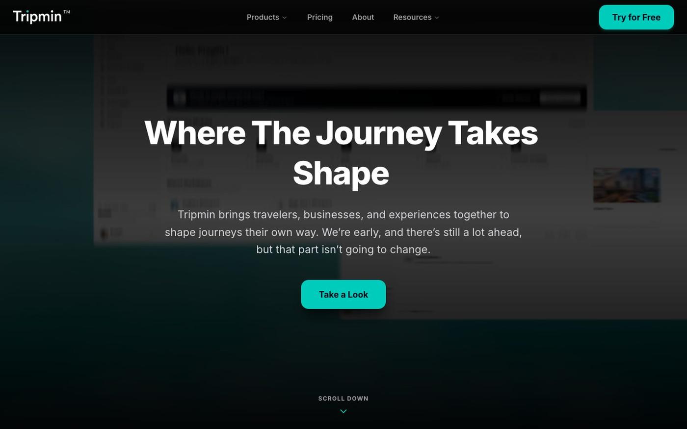 Tripmin | Travel Platform for Travelers & Travel Businesses — screenshot